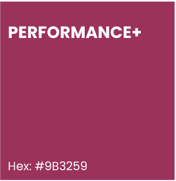 Performance+ Test